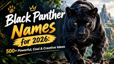 500+ Black Panther names for 2026 with powerful, cool, creative, unique, fierce, and memorable ideas
